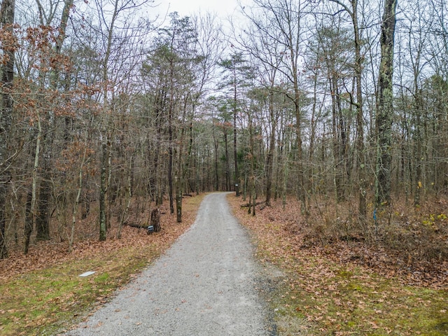 view of street featuring a wooded view