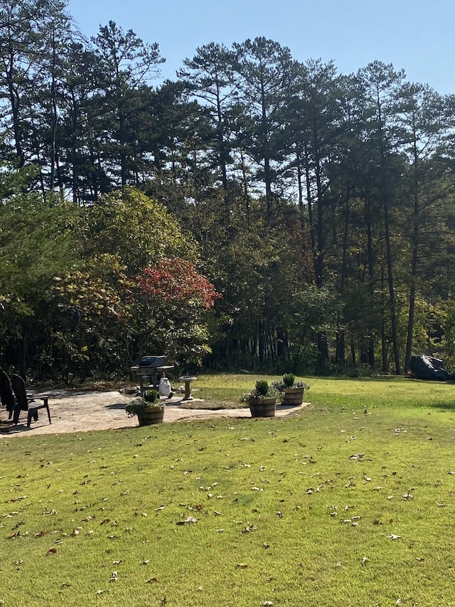 view of home's community featuring a lawn