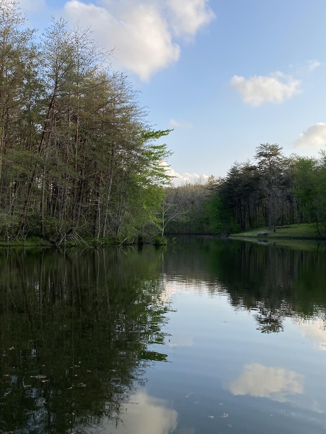 property view of water with a forest view