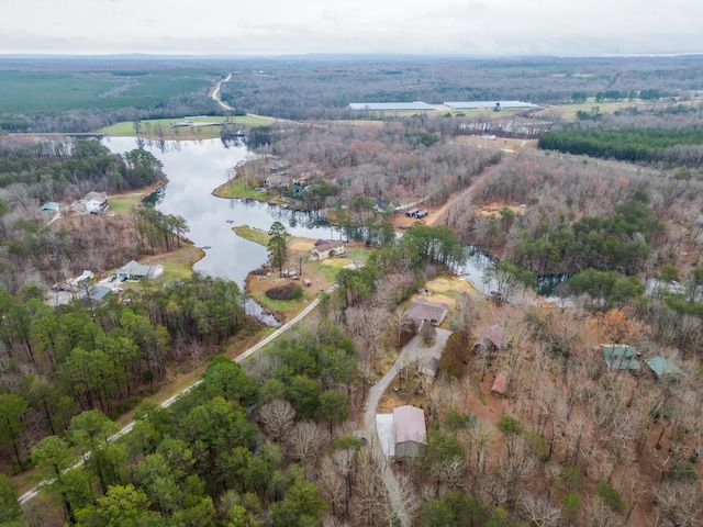 drone / aerial view with a water view and a view of trees
