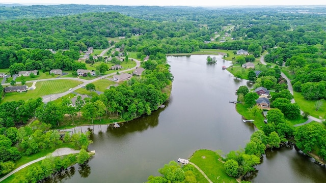 629 Natalie Ln, Spring Hill, TN 37174 - aerial view with a water view and a wooded view