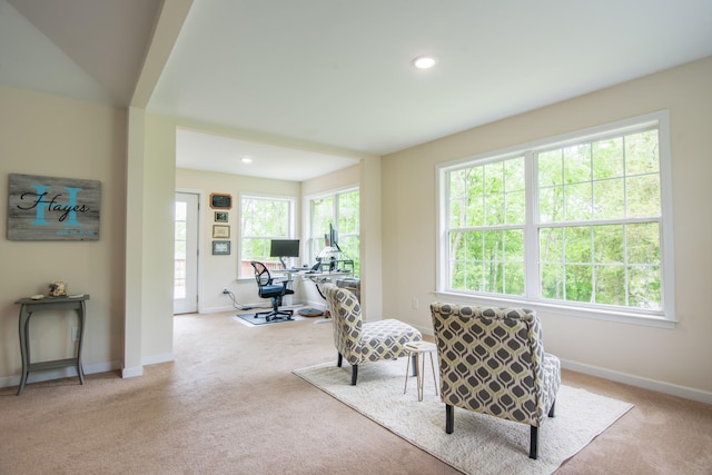629 Natalie Ln, Spring Hill, TN 37174 - living area featuring plenty of natural light, carpet flooring, baseboards, and recessed lighting