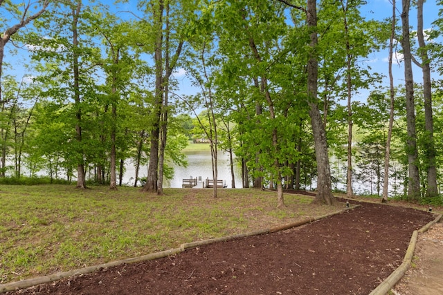 629 Natalie Ln, Spring Hill, TN 37174 - view of yard with a water view