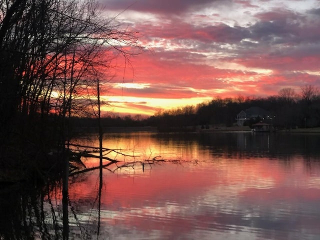 629 Natalie Ln, Spring Hill, TN 37174 - property view of water