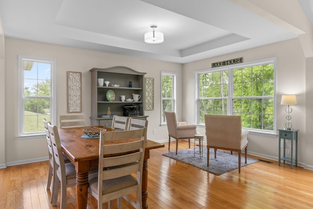 629 Natalie Ln, Spring Hill, TN 37174 - dining area featuring light wood-type flooring, a raised ceiling, and a healthy amount of sunlight