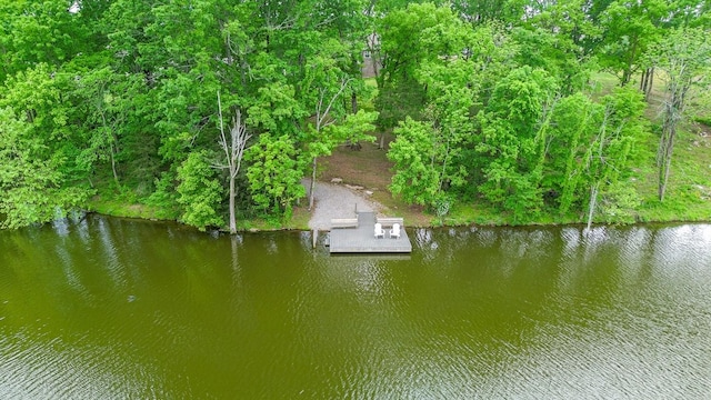 629 Natalie Ln, Spring Hill, TN 37174 - aerial view with a water view