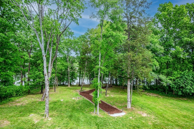 629 Natalie Ln, Spring Hill, TN 37174 - view of yard