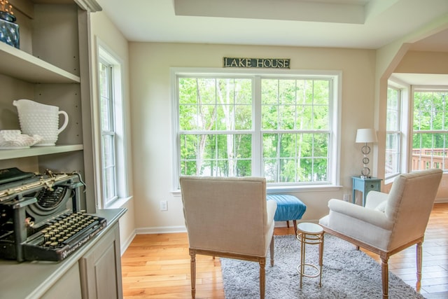 629 Natalie Ln, Spring Hill, TN 37174 - sitting room with baseboards, a healthy amount of sunlight, and light wood finished floors