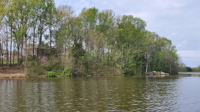 629 Natalie Ln, Spring Hill, TN 37174 - view of water feature