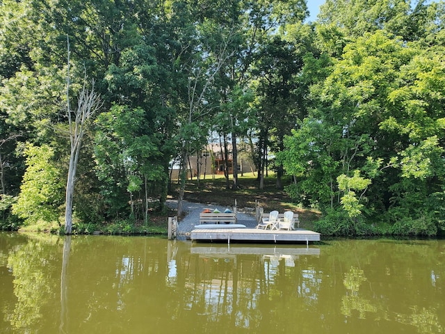 629 Natalie Ln, Spring Hill, TN 37174 - view of dock featuring a water view