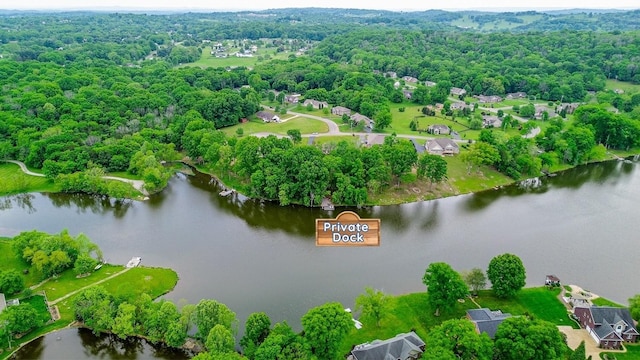 629 Natalie Ln, Spring Hill, TN 37174 - aerial view with a water view and a forest view