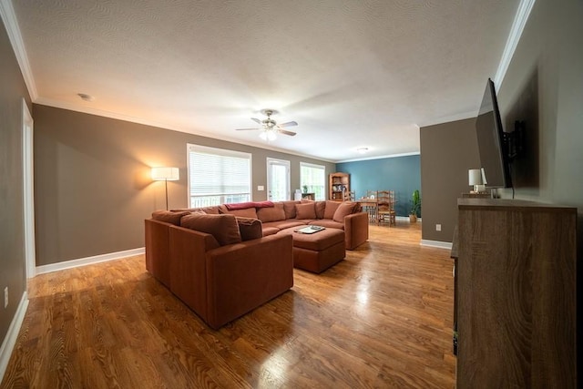215 Desperado Ave, Pulaski, TN 38478 - living room featuring crown molding, a ceiling fan, and wood finished floors