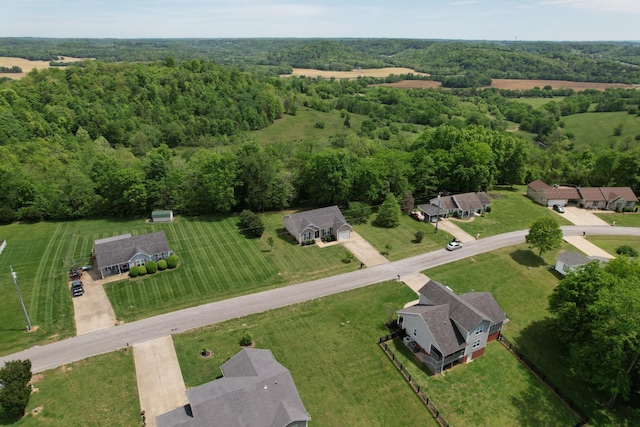 215 Desperado Ave, Pulaski, TN 38478 - aerial view with a view of trees