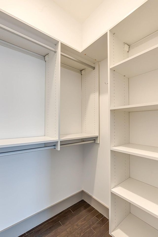 spacious closet featuring dark wood-style flooring