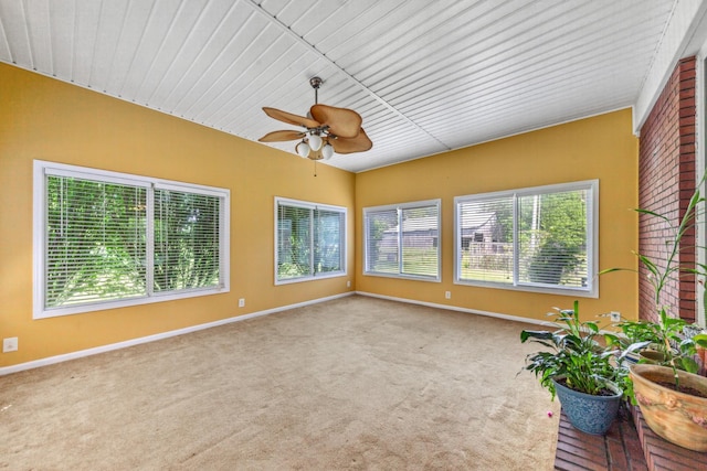 447 Canaan Rd, Columbia, TN 38401 - unfurnished sunroom featuring baseboards and carpet flooring