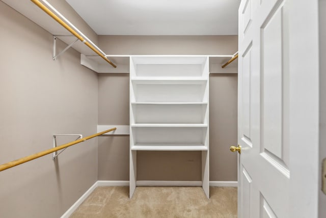 447 Canaan Rd, Columbia, TN 38401 - spacious closet featuring light colored carpet