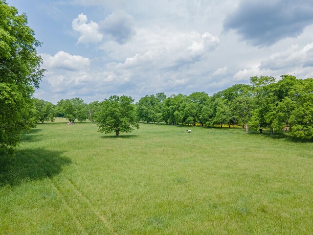 447 Canaan Rd, Columbia, TN 38401 - view of yard