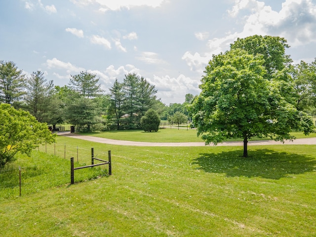 447 Canaan Rd, Columbia, TN 38401 - view of home's community with a lawn and fence