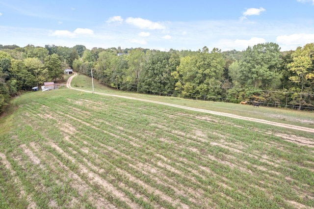 4231 Lylewood Rd, Indian Mound, TN 37079 - view of yard with a rural view and a forest view