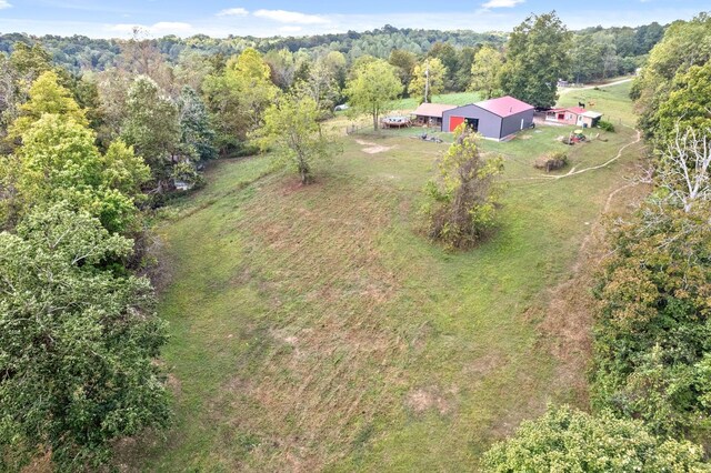 4231 Lylewood Rd, Indian Mound, TN 37079 - drone / aerial view featuring a view of trees