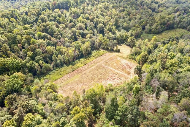 4231 Lylewood Rd, Indian Mound, TN 37079 - aerial view featuring a wooded view