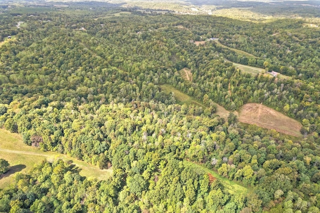 4231 Lylewood Rd, Indian Mound, TN 37079 - drone / aerial view with a wooded view