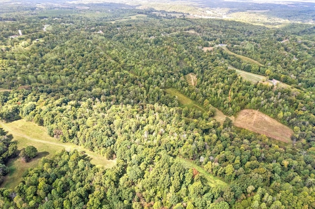 4231 Lylewood Rd, Indian Mound, TN 37079 - aerial view with a wooded view