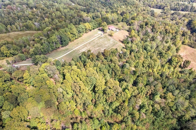 4231 Lylewood Rd, Indian Mound, TN 37079 - bird's eye view with a wooded view