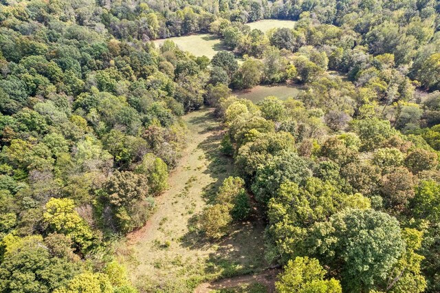 4231 Lylewood Rd, Indian Mound, TN 37079 - bird's eye view with a view of trees
