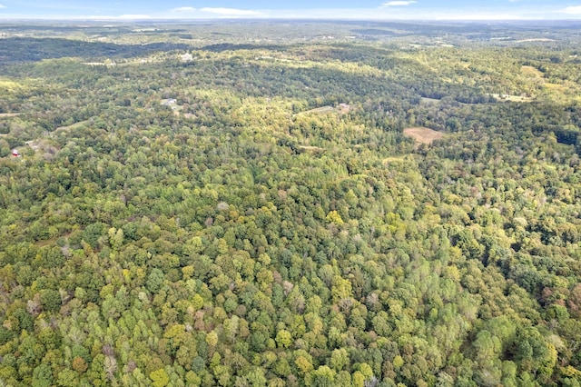 4231 Lylewood Rd, Indian Mound, TN 37079 - aerial view featuring a view of trees