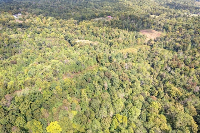 4231 Lylewood Rd, Indian Mound, TN 37079 - bird's eye view with a wooded view