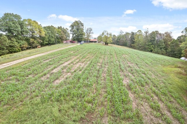 4231 Lylewood Rd, Indian Mound, TN 37079 - view of yard featuring a rural view