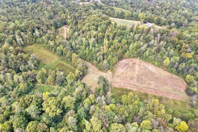 4231 Lylewood Rd, Indian Mound, TN 37079 - bird's eye view with a forest view