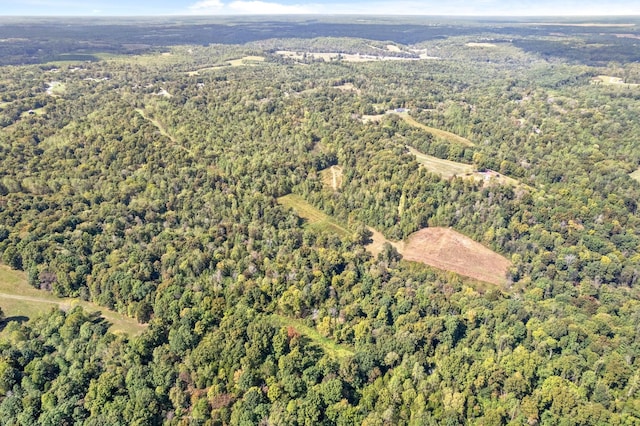 4231 Lylewood Rd, Indian Mound, TN 37079 - birds eye view of property featuring a view of trees
