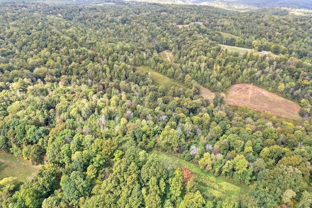 4231 Lylewood Rd, Indian Mound, TN 37079 - drone / aerial view featuring a view of trees