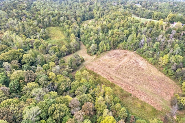 4231 Lylewood Rd, Indian Mound, TN 37079 - aerial view featuring a forest view