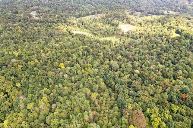 4231 Lylewood Rd, Indian Mound, TN 37079 - drone / aerial view with a wooded view