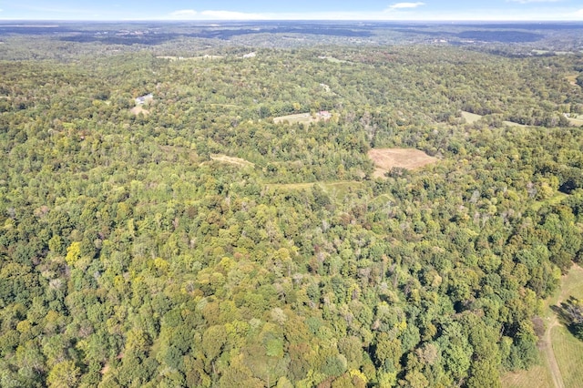 4231 Lylewood Rd, Indian Mound, TN 37079 - birds eye view of property featuring a wooded view