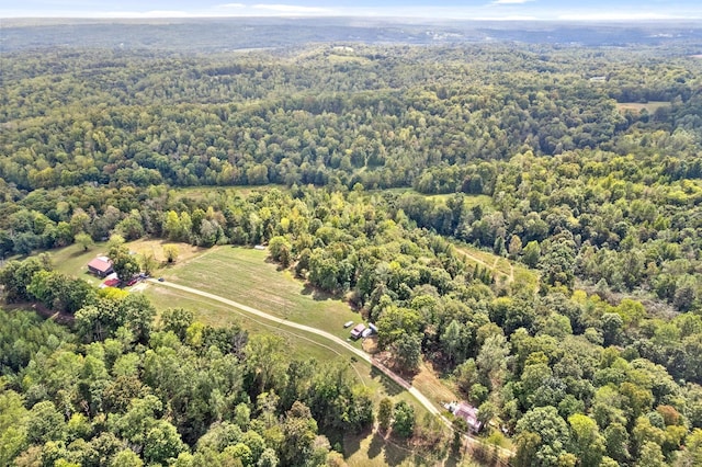 4231 Lylewood Rd, Indian Mound, TN 37079 - aerial view with a view of trees