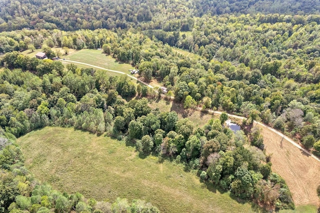 4231 Lylewood Rd, Indian Mound, TN 37079 - bird's eye view featuring a forest view
