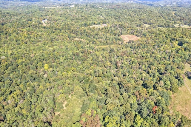 4231 Lylewood Rd, Indian Mound, TN 37079 - drone / aerial view with a forest view