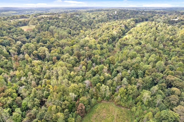 4231 Lylewood Rd, Indian Mound, TN 37079 - aerial view featuring a wooded view