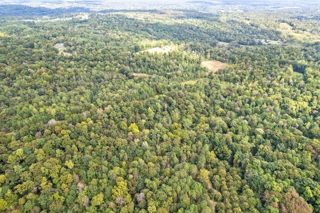4231 Lylewood Rd, Indian Mound, TN 37079 - aerial view with a wooded view