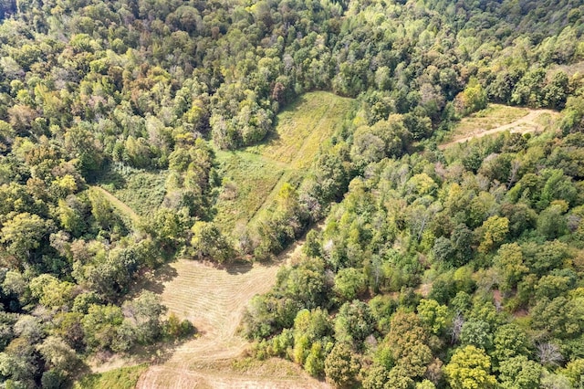4231 Lylewood Rd, Indian Mound, TN 37079 - aerial view featuring a wooded view