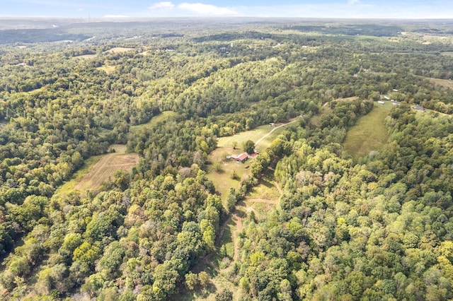 4231 Lylewood Rd, Indian Mound, TN 37079 - aerial view with a view of trees