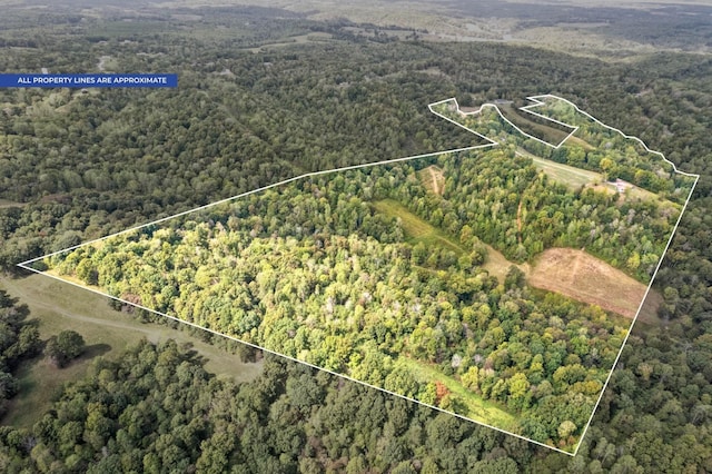 4231 Lylewood Rd, Indian Mound, TN 37079 - drone / aerial view with a wooded view