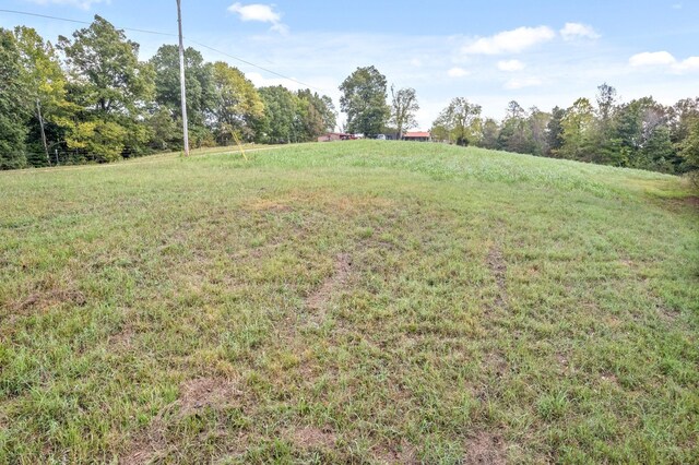 4231 Lylewood Rd, Indian Mound, TN 37079 - view of yard with a rural view