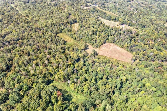 4231 Lylewood Rd, Indian Mound, TN 37079 - aerial view with a wooded view