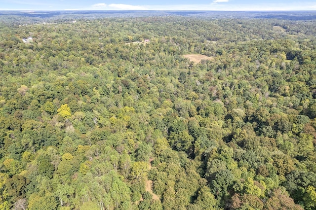 4231 Lylewood Rd, Indian Mound, TN 37079 - aerial view featuring a wooded view
