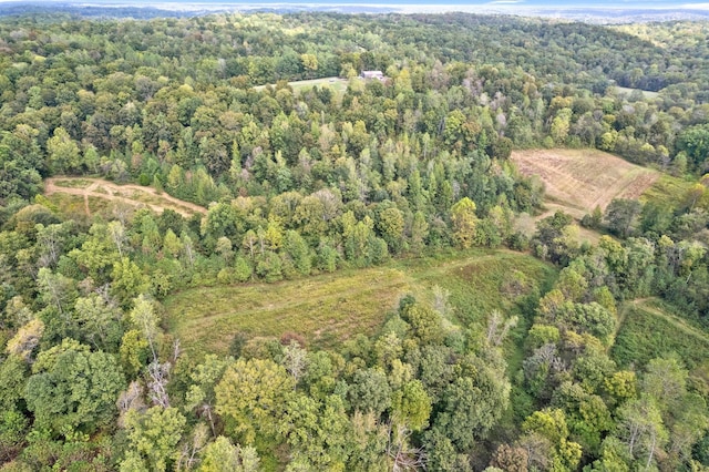 4231 Lylewood Rd, Indian Mound, TN 37079 - bird's eye view with a forest view